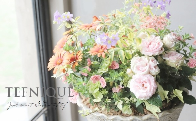 ֥餵Υƥڥޥࡡإޥ