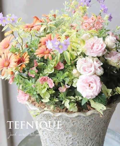 ֥餵Υƥڥޥࡡإޥ