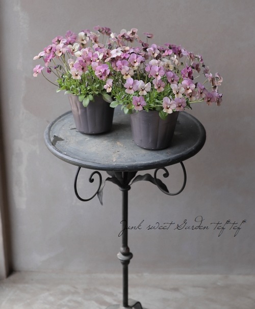 ���ߤ�ȥӥ��顡�إ��󥴥��⡼���