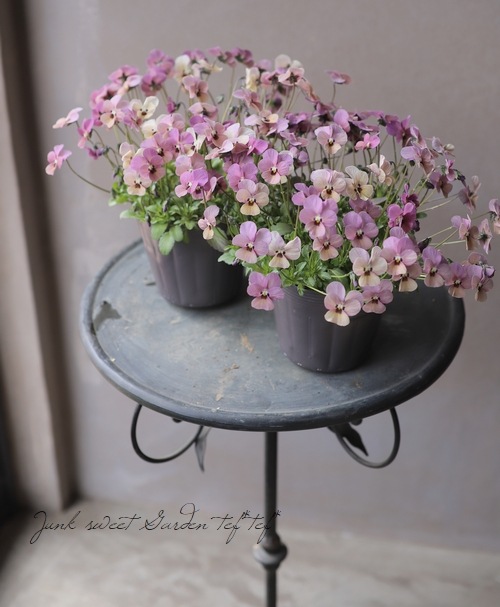 ���ߤ�ȥӥ��顡�إ��󥴥��⡼���