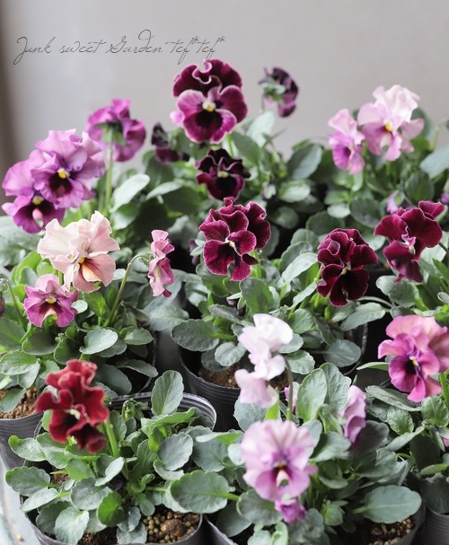 15_000000018652.jpg?1670420278