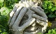 �ڻ��ߡ� �ѹ�SPARTA STATUES ��Peeping Greenman�� �����ǥ󥪡��ʥ��� ���ɳݤ��եå��ա�