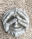 �ڻ��ߡ� �ѹ�SPARTA STATUES ��Peeping Greenman�� �����ǥ󥪡��ʥ��� ���ɳݤ��եå��ա�