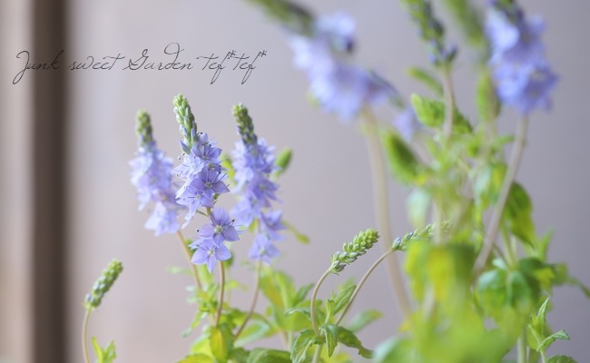 �饤�࿧�٥��˥����إ����ƥå�������ɡ�