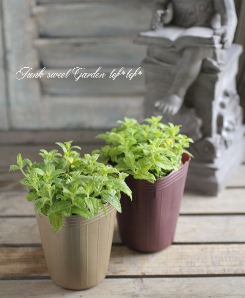 �饤�࿧�٥��˥����إ����ƥå�������ɡ�