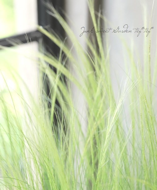 �ڥ��饹��ʪ�� ���ƥ��ѡ��ƥ̥��å��� �إ��󥸥���إ�����