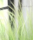 �ڥ��饹��ʪ�� ���ƥ��ѡ��ƥ̥��å��� �إ��󥸥���إ�����