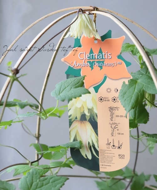 ����ޥ������إ���С��١��������