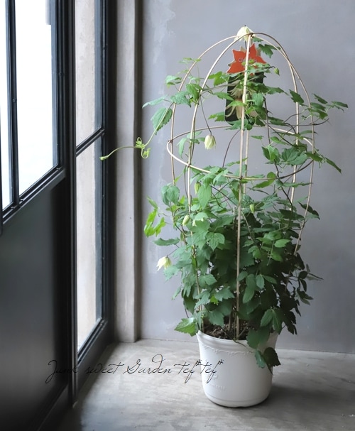 ����ޥ������إ���С��١��������