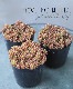 ��¿����ʪ�� �����ζ̡١����ޤ��޿��� ������°