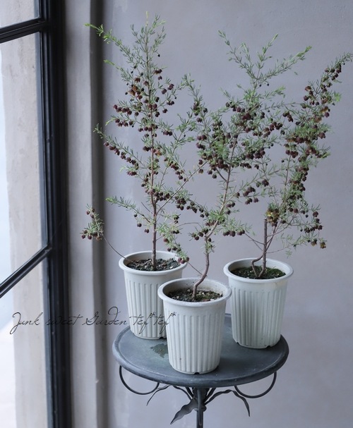 �ܥ��˥����ᥬ���ƥ����ޡ��إ����ɥ�����