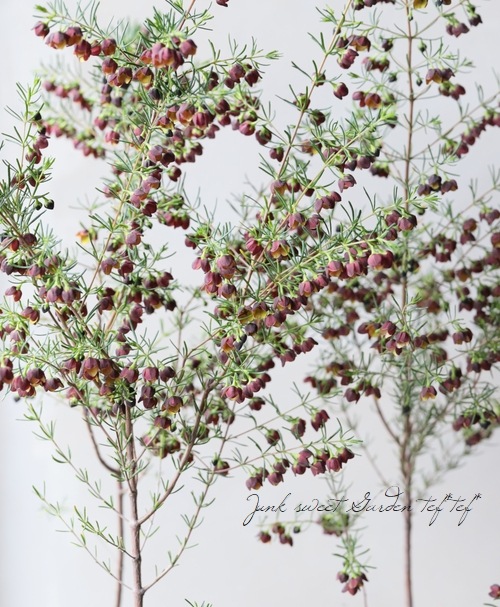 �ܥ��˥����ᥬ���ƥ����ޡ��إ����ɥ�����