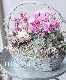 �Х�餭�ץ��顦����ꥢ�󡡡إޥ����롦�ԥ󥯡�
