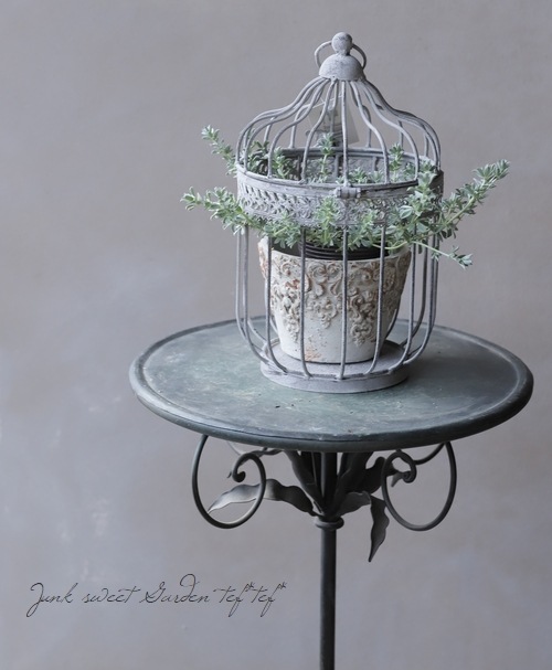 �ڻ��ߡۥС��ɥ��������̥�����