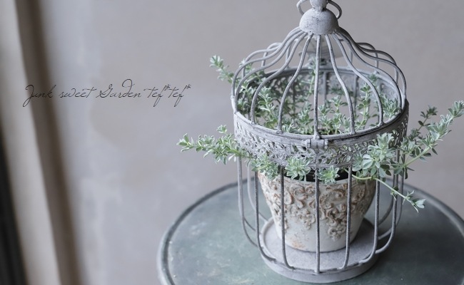 �ڻ��ߡۥС��ɥ��������̥�����