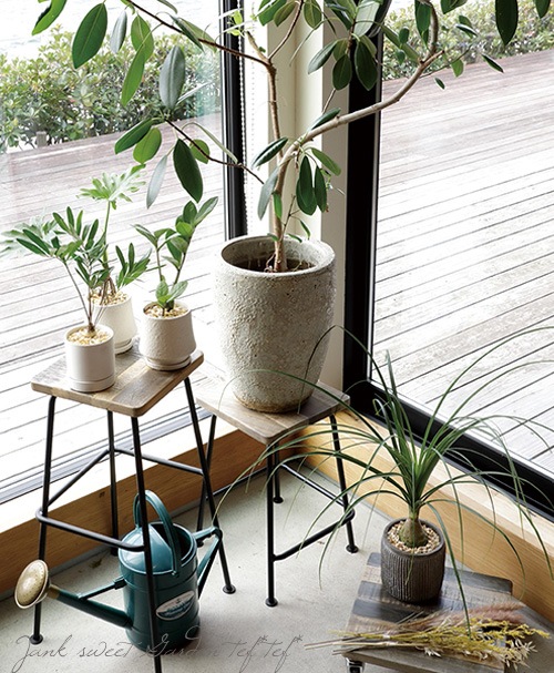 ڻߡۥץĥȥ쥤ʥˡ㥹դ