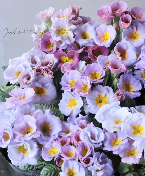 �Х�餭�ץ��顦����ꥢ�󡡡إ����ͥåȡ����֥��ȥ��������顼�١�C��