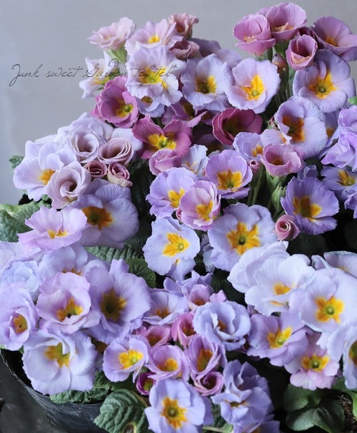 �Х�餭�ץ��顦����ꥢ�󡡡إ����ͥåȡ����֥��ȥ��������顼�١�C��