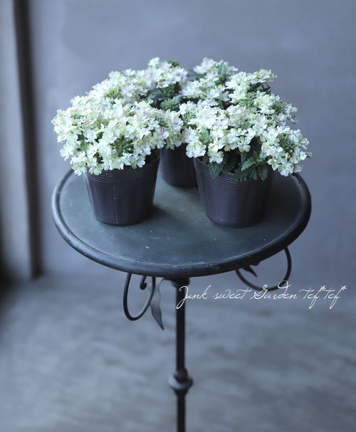 С٥ʡͥåѥȡإ饤 ɺϥ󥮥󥰥