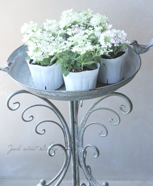 С٥ʡͥåѥȡإ饤 ɺϥ󥮥󥰥