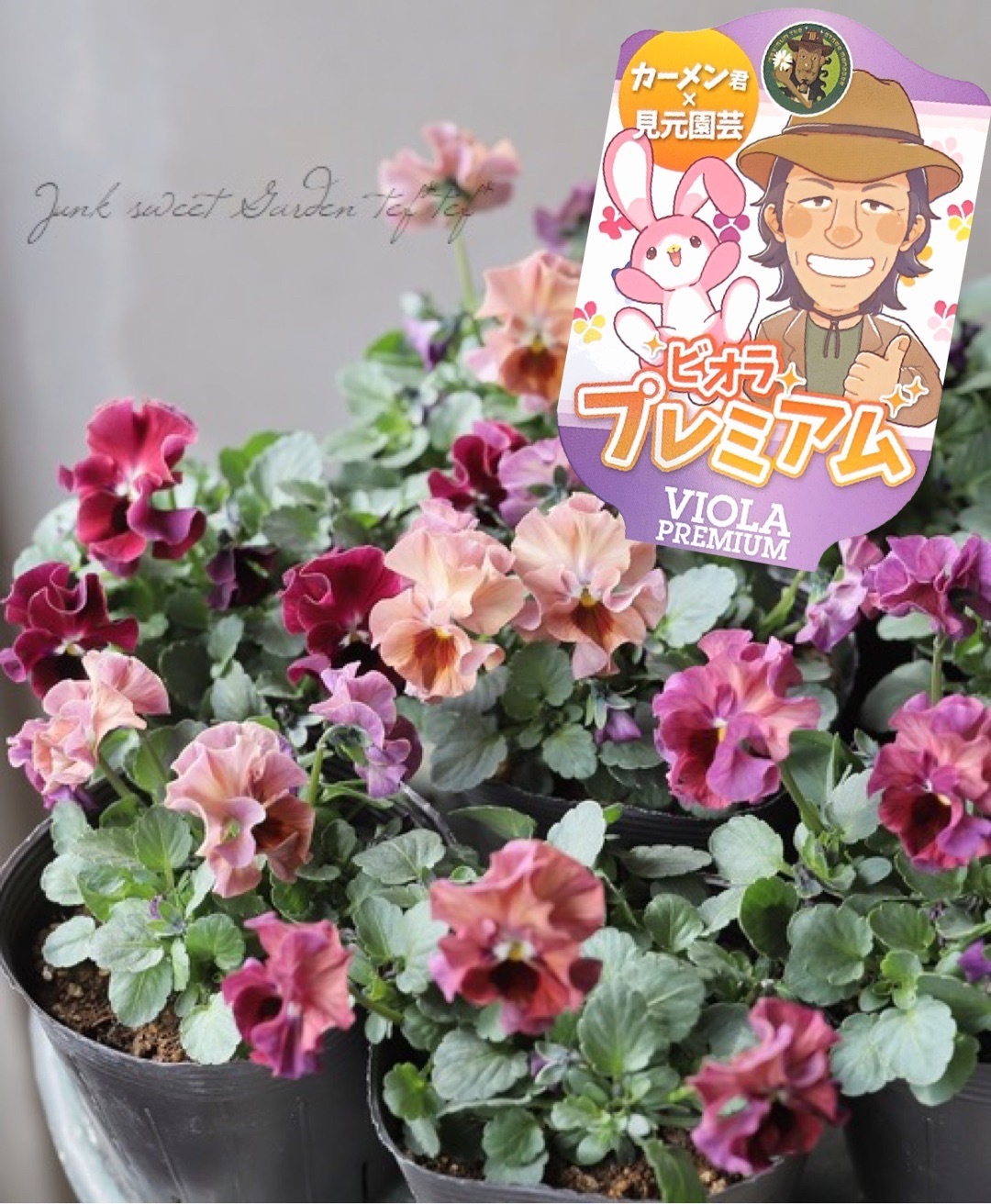 MONDO ビオランテ Cherry Blossom 限定400体 未開封 TNT SPACE] Part 1 💀 DORA 🪞 An Ideal World Series UNBOXING