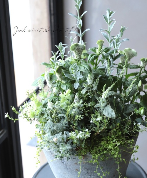 �ץ�ƥ������إ饤�५���ڥåȡ١�