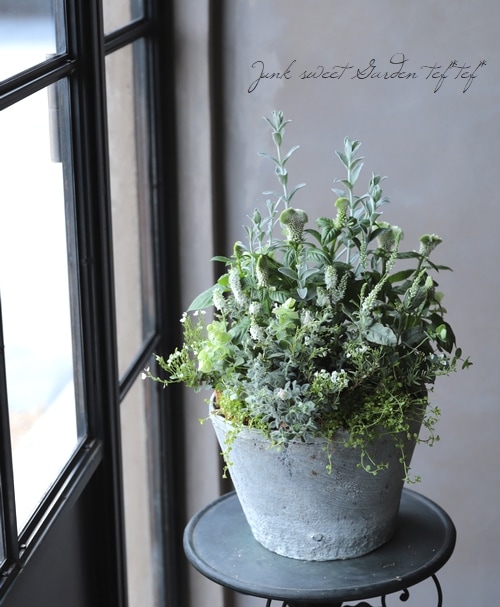 �ץ�ƥ������إ饤�५���ڥåȡ١�