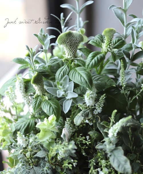 �ץ�ƥ������إ饤�५���ڥåȡ١�