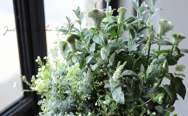 �ץ�ƥ������إ饤�५���ڥåȡ١�