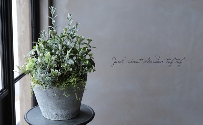 �ץ�ƥ������إ饤�५���ڥåȡ١�