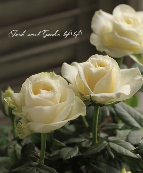 美しい薔薇空間チェスト ミニテーブル 薔薇ペイント バラ ローズ 期間