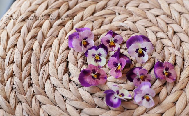 ��臘�������ꥸ�ʥ�ӥ���ؤȤ������٤β���