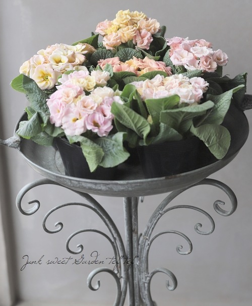 �Х�餭�ץ��顦����ꥢ�󡡡إ����ͥåȡ����֥��ȥ��������顼�١�D��