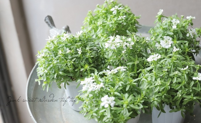 �ɺ����٥ꥹ���إ��󥸥���١����