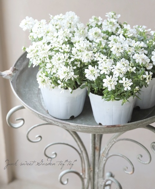 �ɺ����٥ꥹ���إ��󥸥���١����