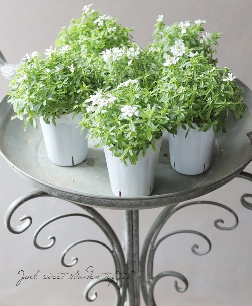 �ɺ����٥ꥹ���إ��󥸥���١����