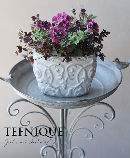 随時お届け】 母の日の寄せ植え 『大人可愛いバージョン』 先行割引