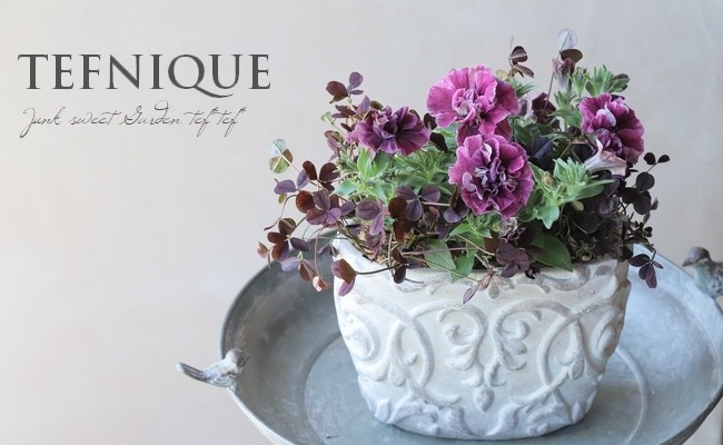 随時お届け】 母の日の寄せ植え 『大人可愛いバージョン』 先行割引