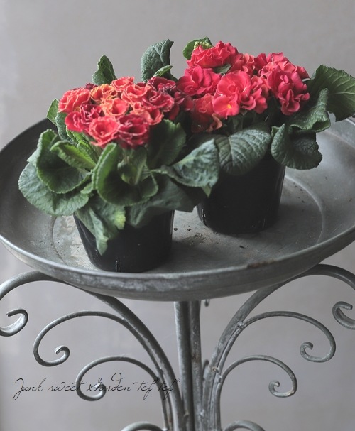 �Х�餭�ץ��顦����ꥢ�󡡡إ����ͥåȡ����֥��ȥ��������顼�١�E��