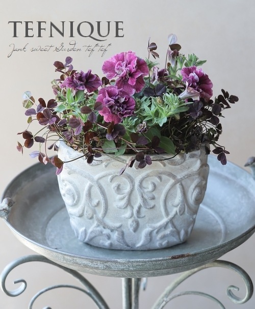 �ڻ��ߡۥ��쥹�ȡ������Х�ݥå�