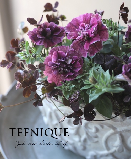 �ڻ��ߡۥ��쥹�ȡ������Х�ݥå�