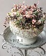 ���Υ���ʥ�ƥ󡡡إ��٥����