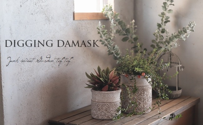 ڻߡۥǥ󥰡ޥݥå M