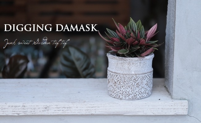 ڻߡۥǥ󥰡ޥݥå M