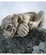 �ڻ��ߡ� �ѹ�SPARTA STATUES ��Peeping Gremlin�� �����ǥ󥪡��ʥ���