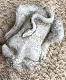 �ڻ��ߡ� �ѹ�SPARTA STATUES ��Peeping Gremlin�� �����ǥ󥪡��ʥ���
