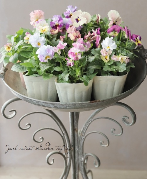 ����ɴ�������ꥸ�ʥ�� �ӥ��顡��ɴ�� -momoemi-��