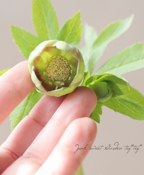 4_000000021757.jpg?1739336773