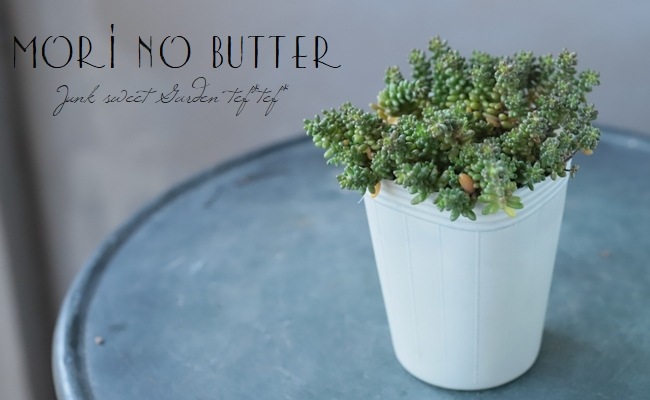 ��¿����ʪ�� �إ֥�å��٥꡼�١�������°