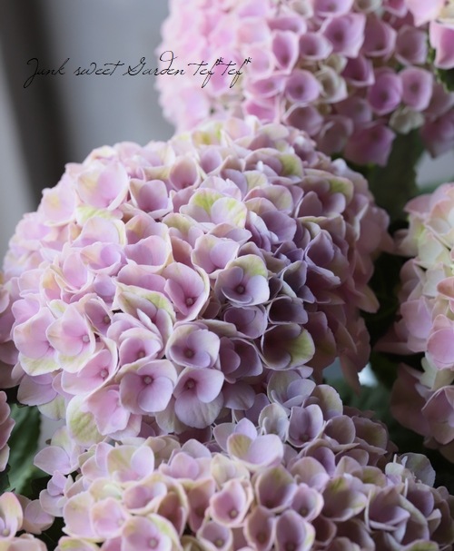 虹色グラデーション紫陽花入りのバレッタ♡ キラレインローズ15本と4色キラカラーかすみ草アレンジ+虹色リボン